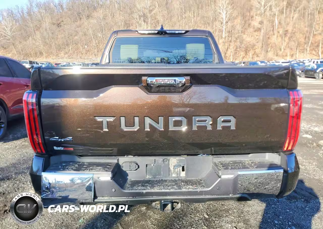 2024 Toyota Tundra Crewmax Platinum VIN:5TFMC5DB3RX042474 - 6