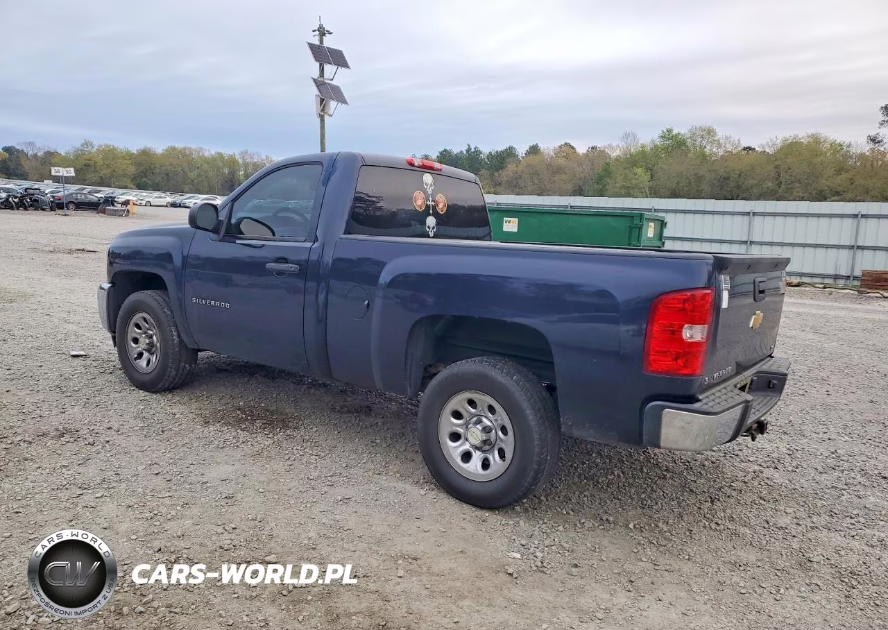 2012 Chevrolet Silverado C1500 VIN:1GCNCPEX6CZ111115 - 2
