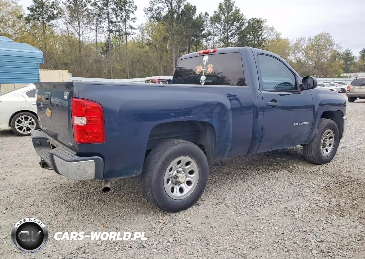 2012 Chevrolet Silverado C1500 VIN:1GCNCPEX6CZ111115 - 3