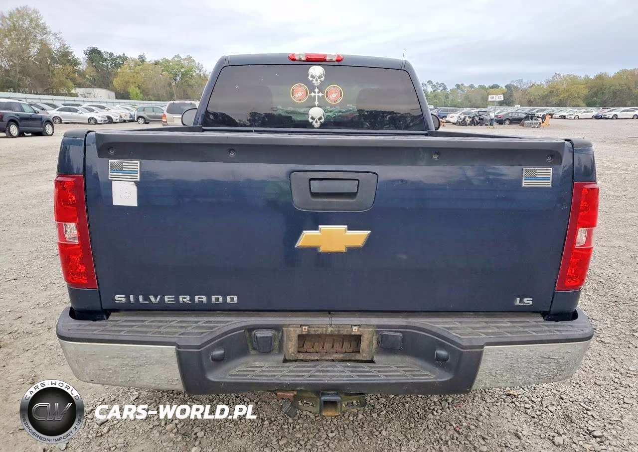 2012 Chevrolet Silverado C1500 VIN:1GCNCPEX6CZ111115 - 6
