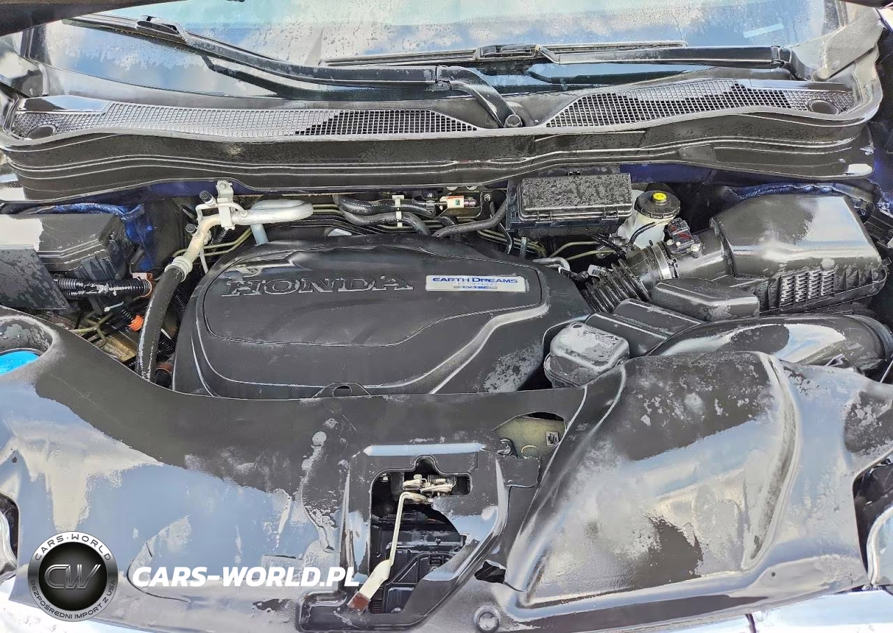 2019 Honda Pilot Exl VIN:5FNYF5H44KB036560 - 12
