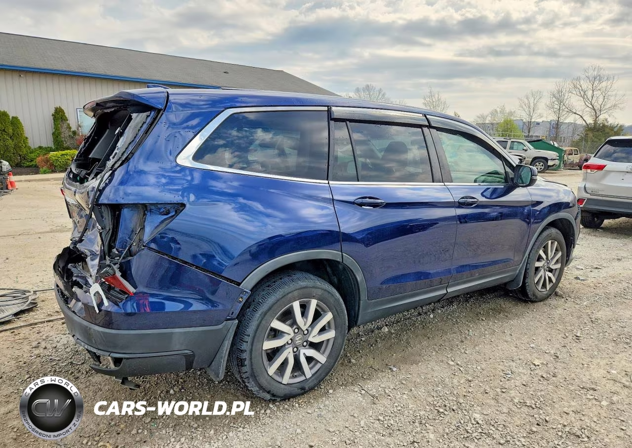 2019 Honda Pilot Exl VIN:5FNYF5H44KB036560 - 3