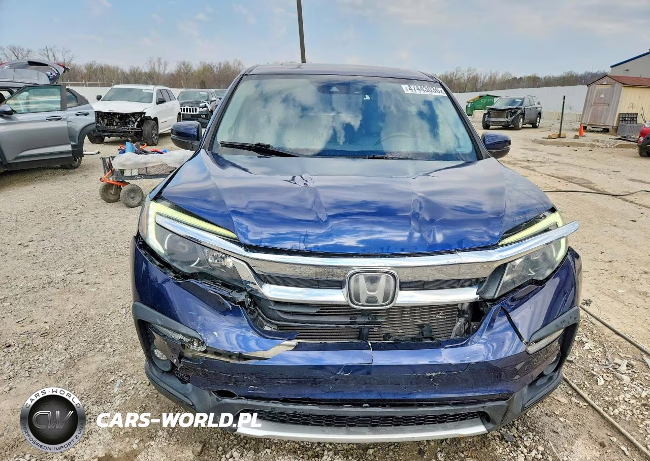 2019 Honda Pilot Exl VIN:5FNYF5H44KB036560 - 5