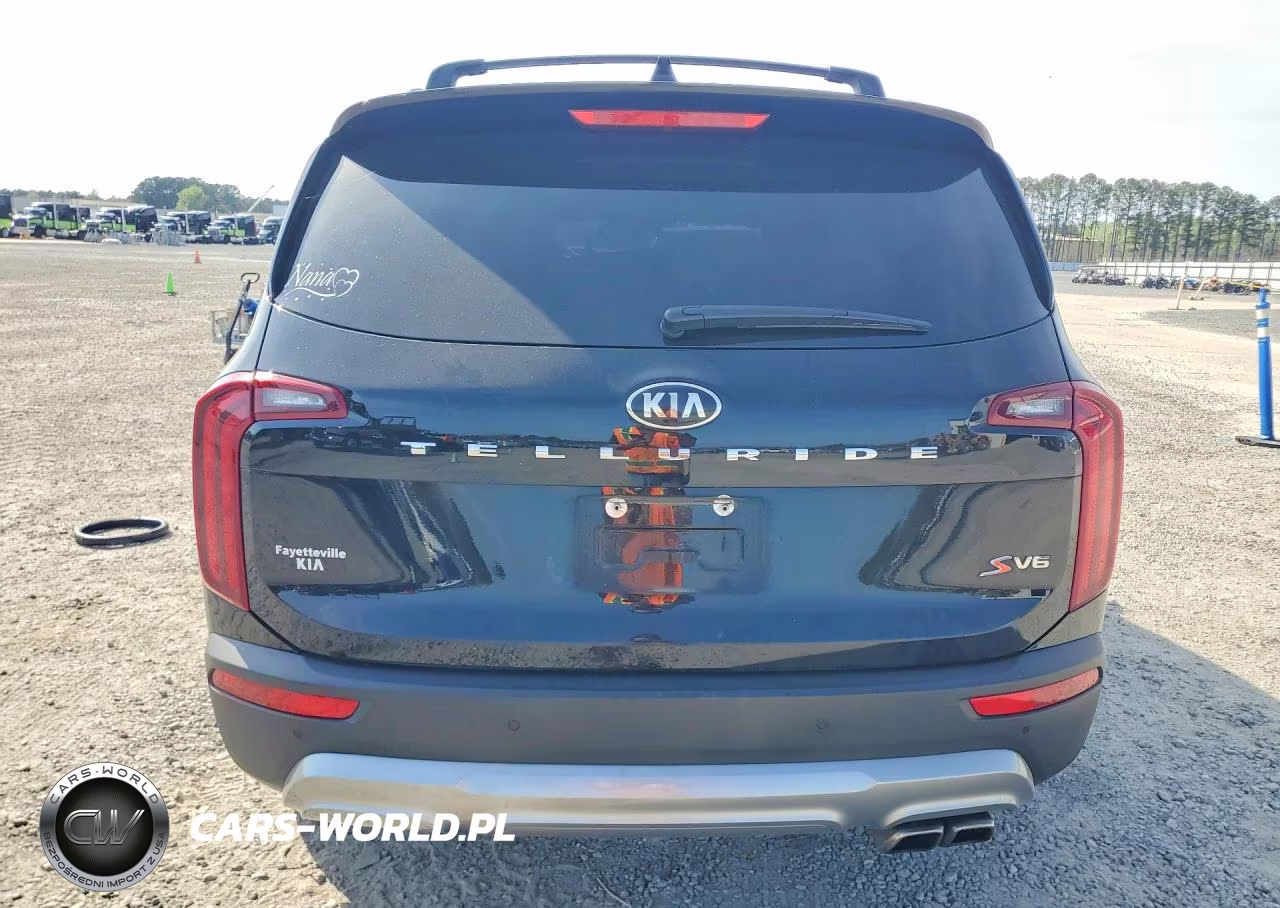 2020 Kia Telluride S VIN:5XYP64HC8LG080312 - 6