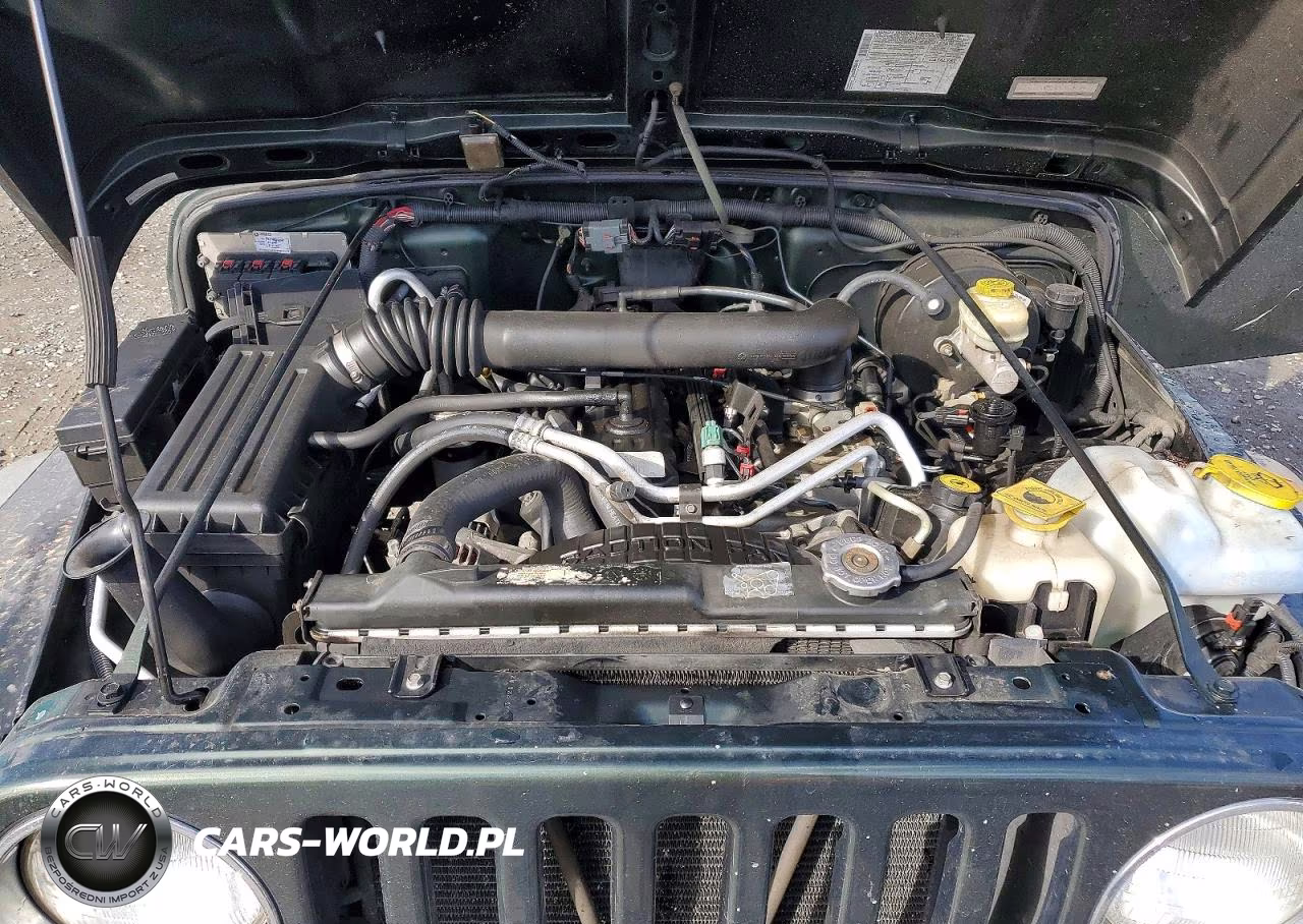 2005 Jeep Wrangler X VIN:1J4FA39S45P310092 - 11