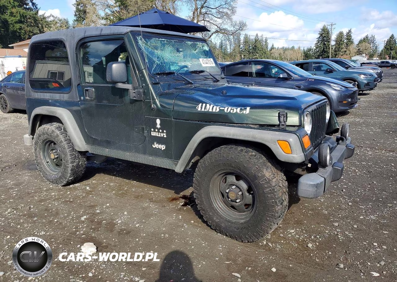 2005 Jeep Wrangler X VIN:1J4FA39S45P310092 - 4