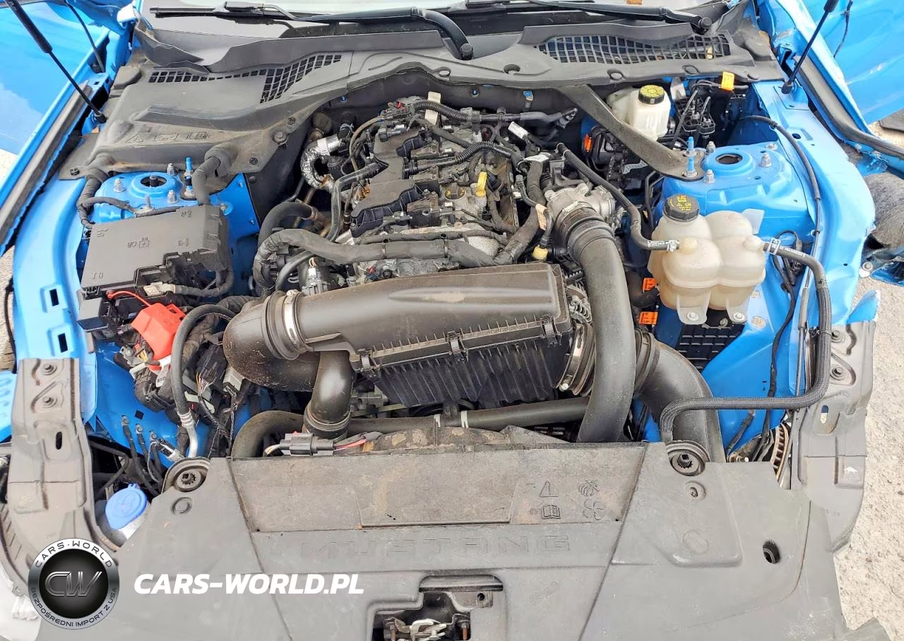2024 Ford Mustang VIN:1FAGP8UH4R5116512 - 11