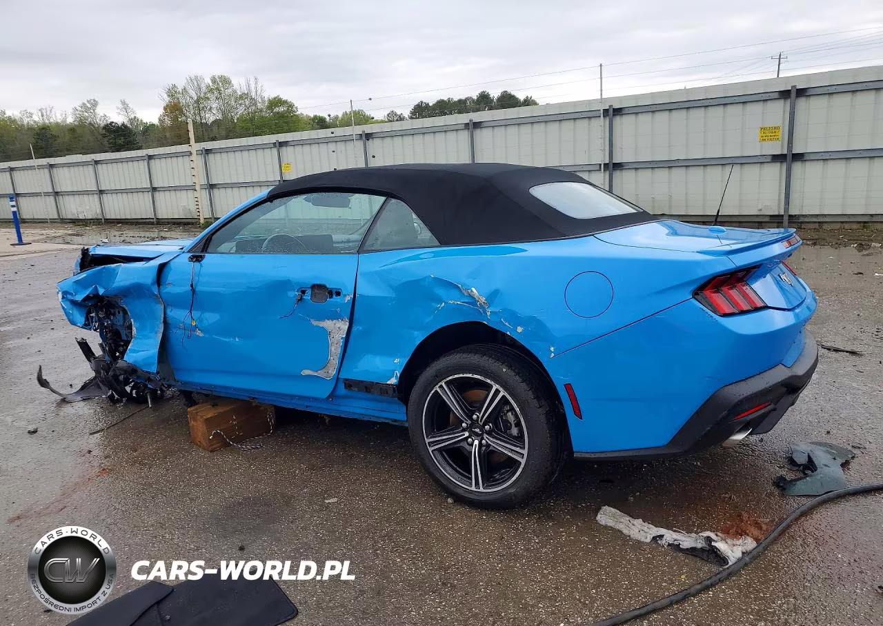 2024 Ford Mustang VIN:1FAGP8UH4R5116512 - 2