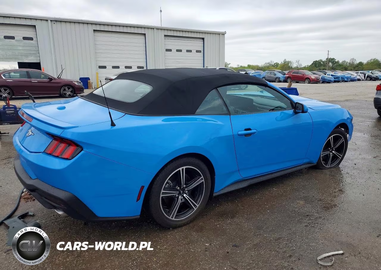 2024 Ford Mustang VIN:1FAGP8UH4R5116512 - 3
