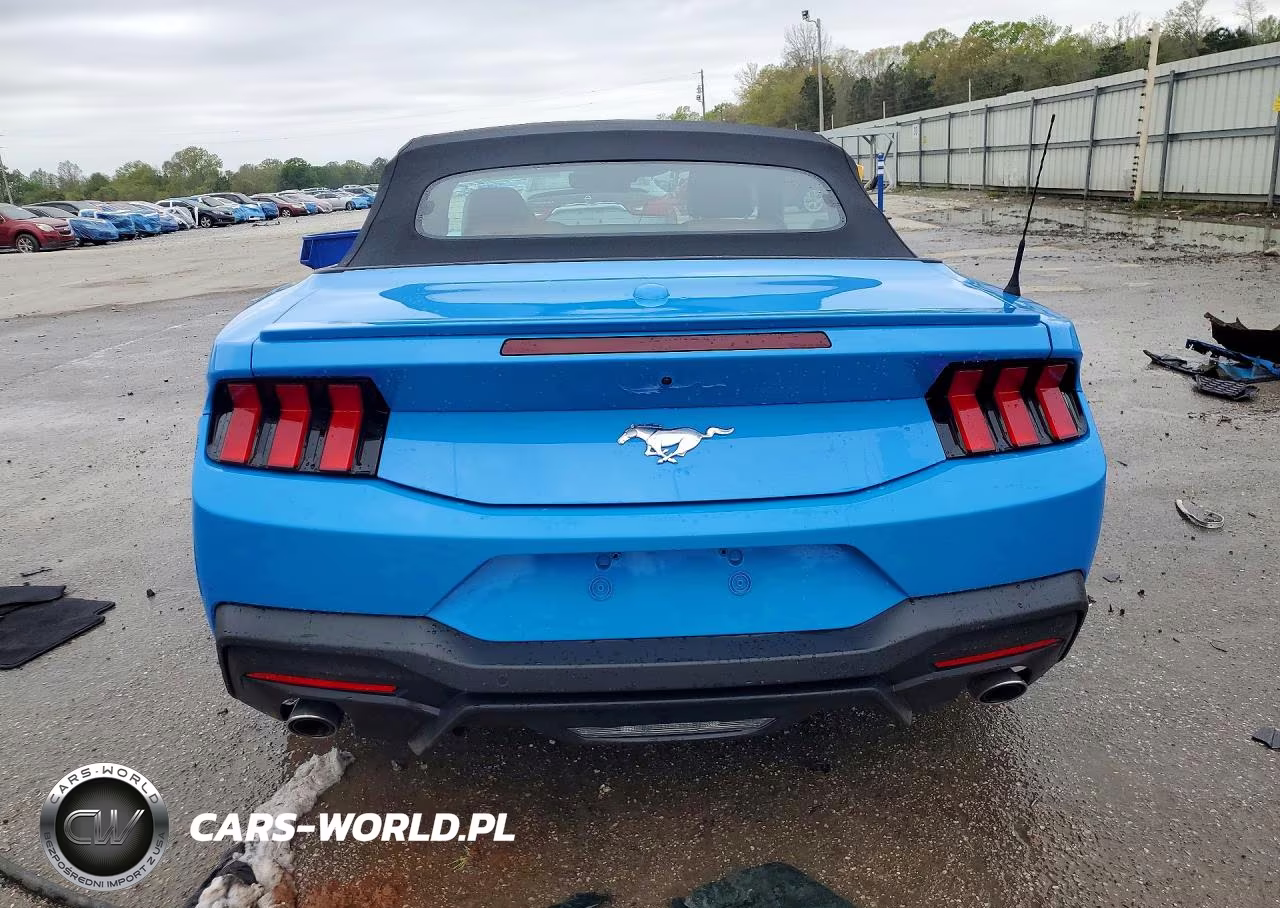 2024 Ford Mustang VIN:1FAGP8UH4R5116512 - 6