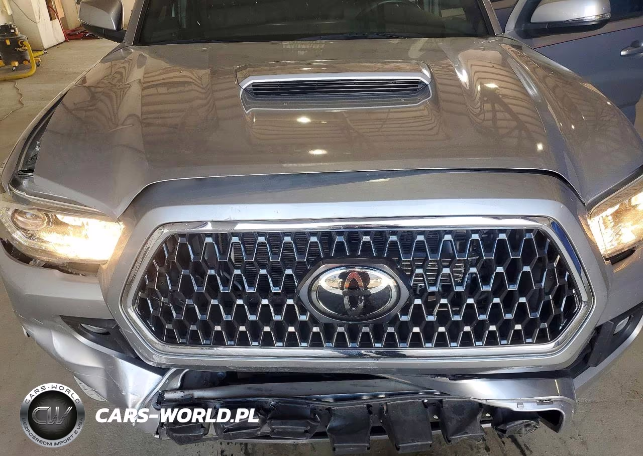 2019 Toyota Tacoma Trd Sport VIN:3TMCZ5AN7KM253729 - 11