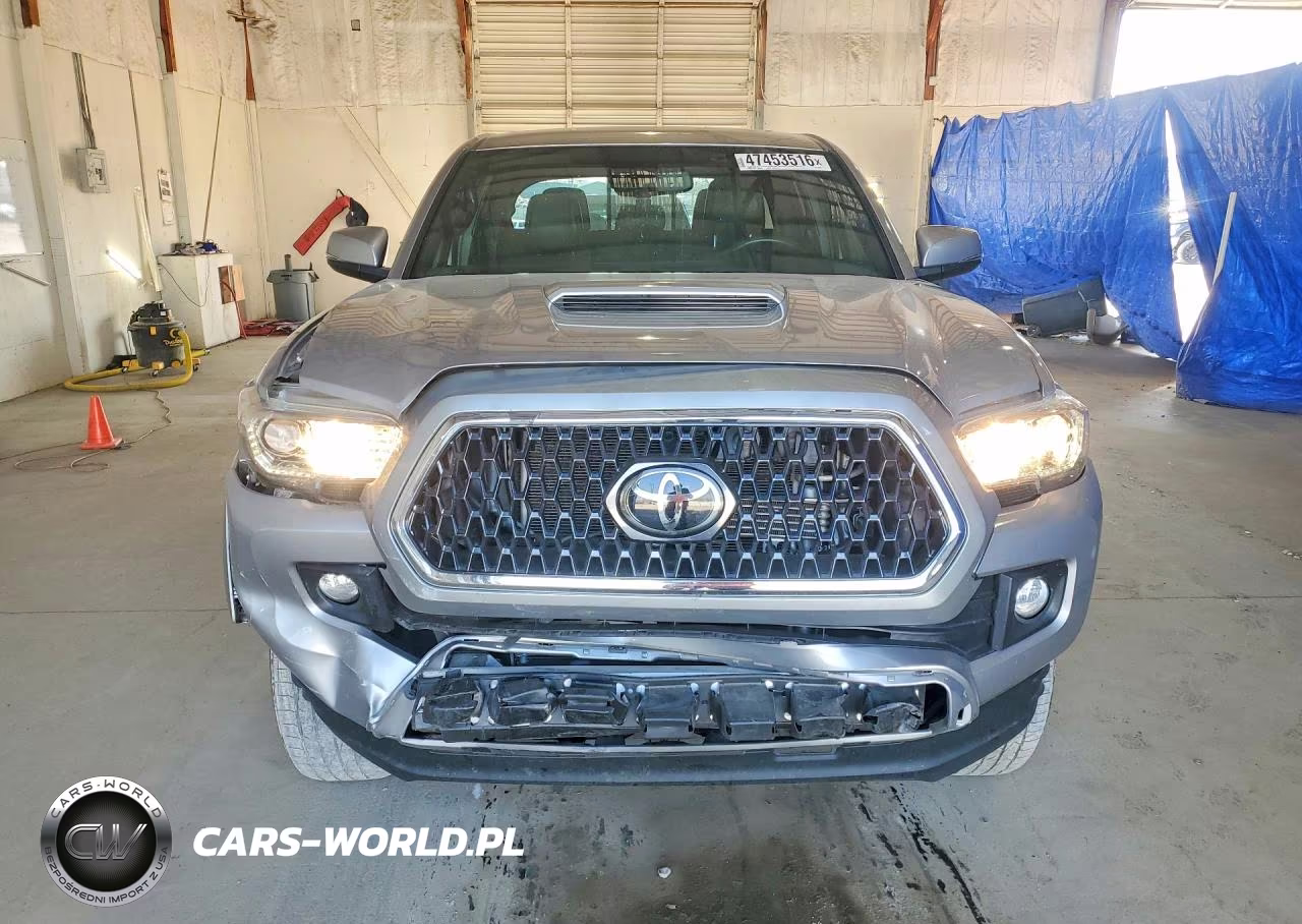 2019 Toyota Tacoma Trd Sport VIN:3TMCZ5AN7KM253729 - 5