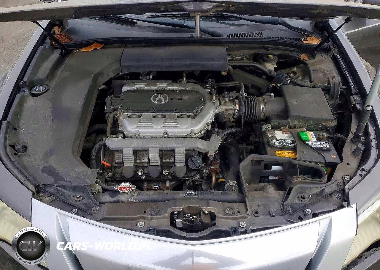 2010 Acura Tl VIN:19UUA8F20AA021577 - 11