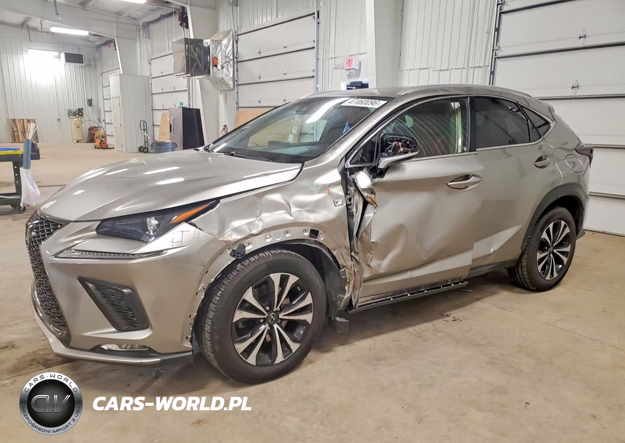 2019 Lexus Nx 300 F Sport