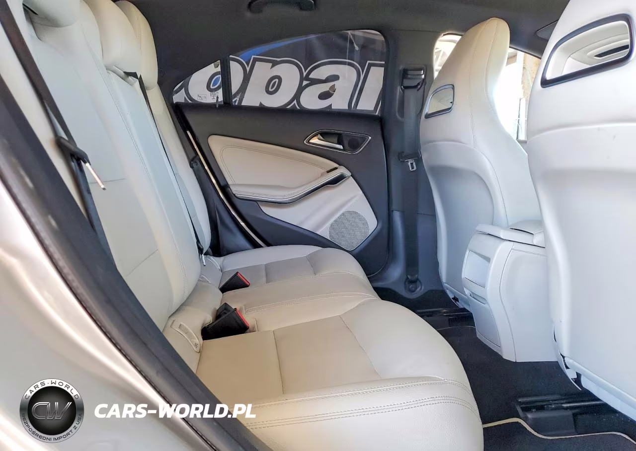 2014 Mercedes-Benz Cla 250 VIN:WDDSJ4EB0EN060884 - 10