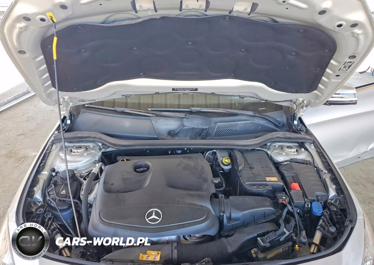 2014 Mercedes-Benz Cla 250 VIN:WDDSJ4EB0EN060884 - 11