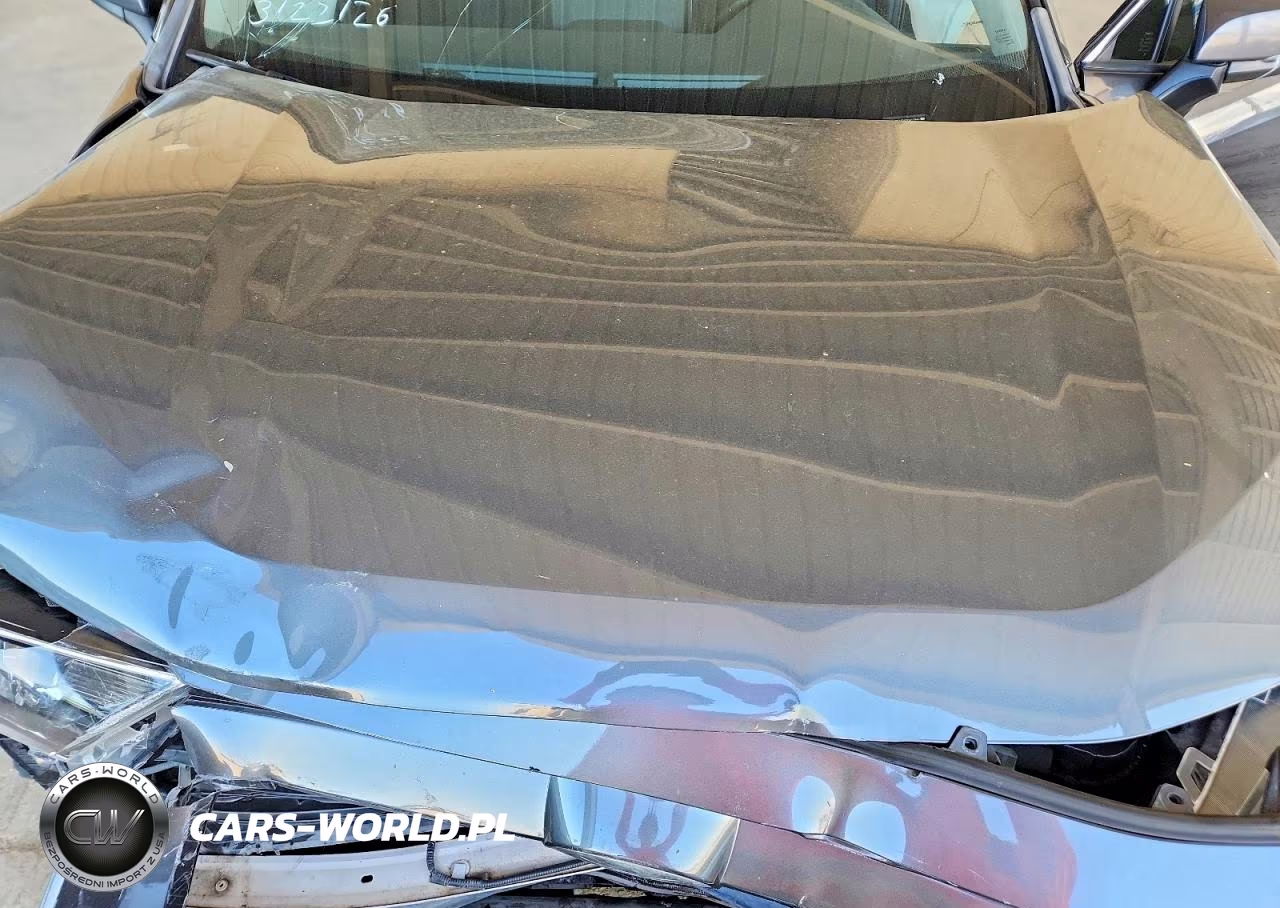 2019 Toyota Rav4 Xle VIN:JTMW1RFV5KD041265 - 12