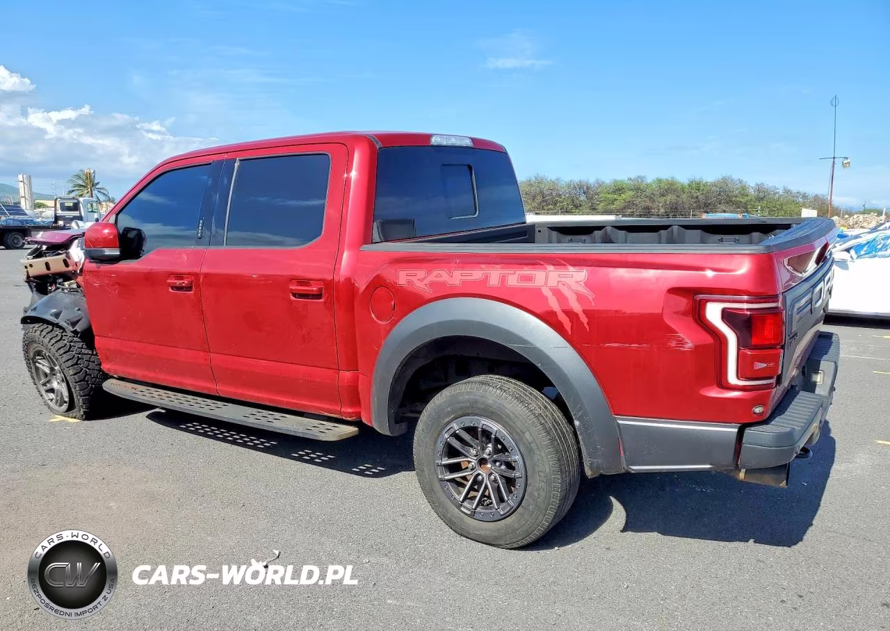 2020 Ford F150 Raptor VIN:1FTFW1RG5LFB41632 - 2