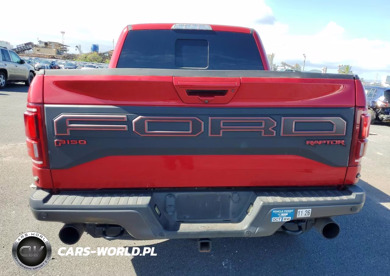 2020 Ford F150 Raptor VIN:1FTFW1RG5LFB41632 - 6
