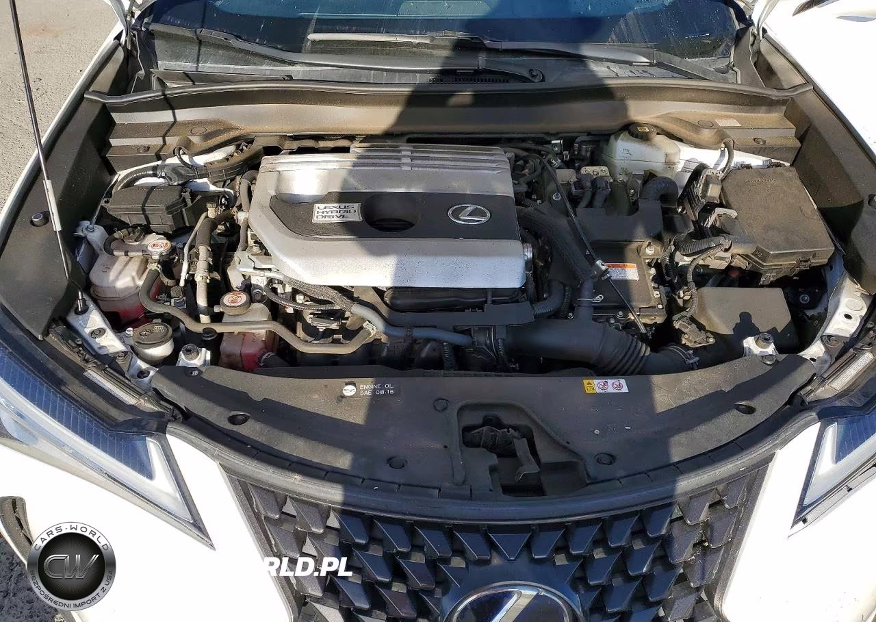 2021 Lexus Ux 250H Base VIN:JTHP9JBH2M2044023 - 12