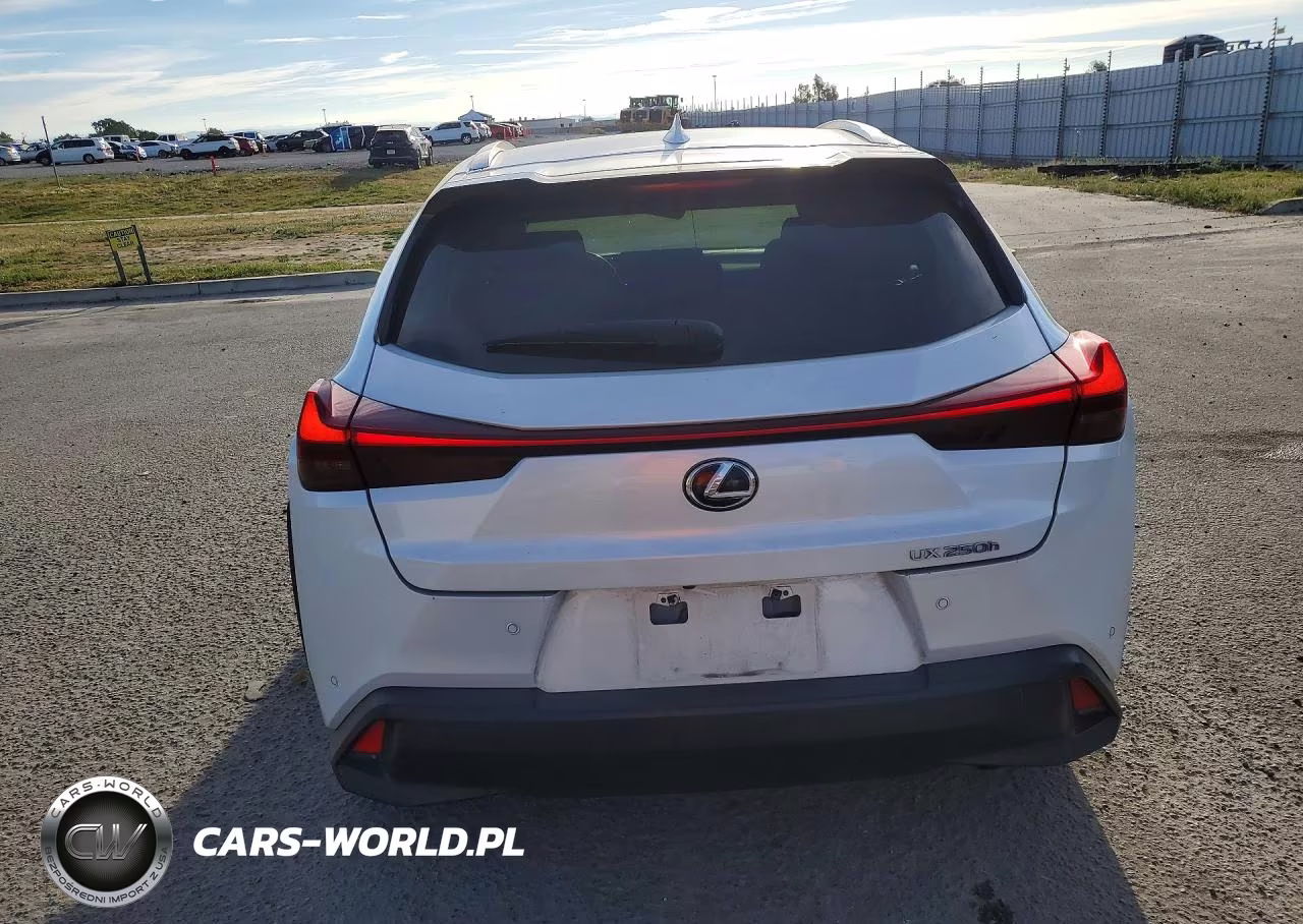 2021 Lexus Ux 250H Base VIN:JTHP9JBH2M2044023 - 6