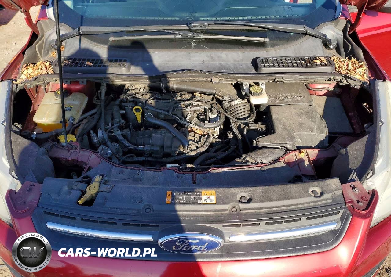 2013 Ford Escape Se VIN:1FMCU0GX8DUD65184 - 12