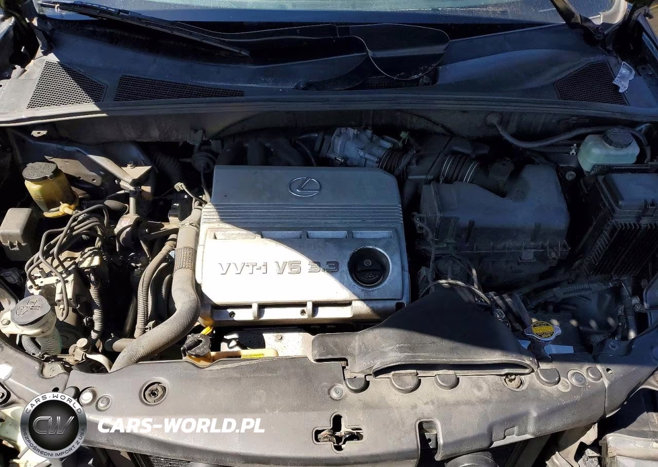 2004 Lexus Rx 330 Base VIN:JTJHA31U640019237 - 12