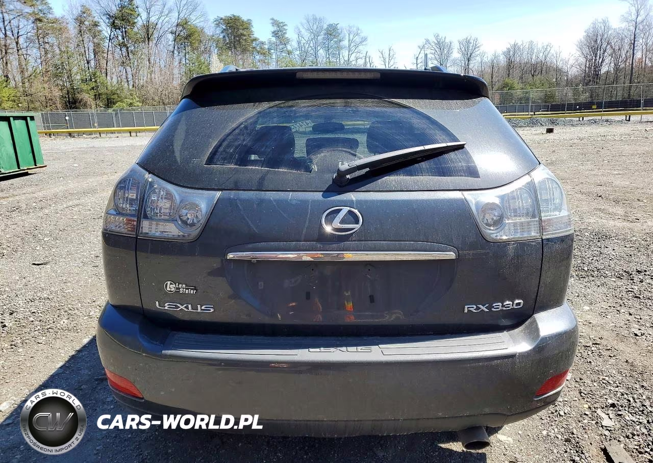 2004 Lexus Rx 330 Base VIN:JTJHA31U640019237 - 6
