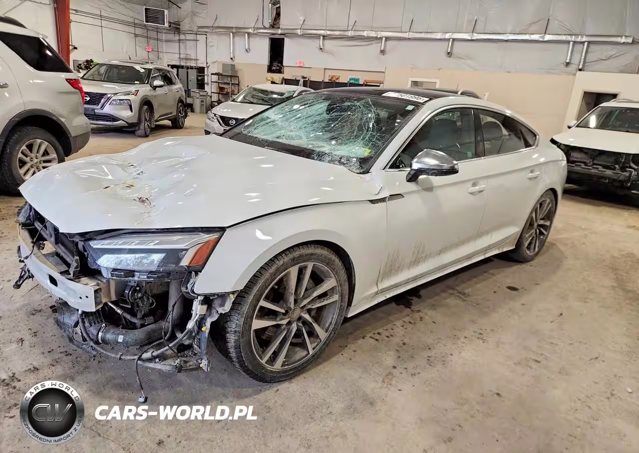 2024 Audi S5 Premium Plus