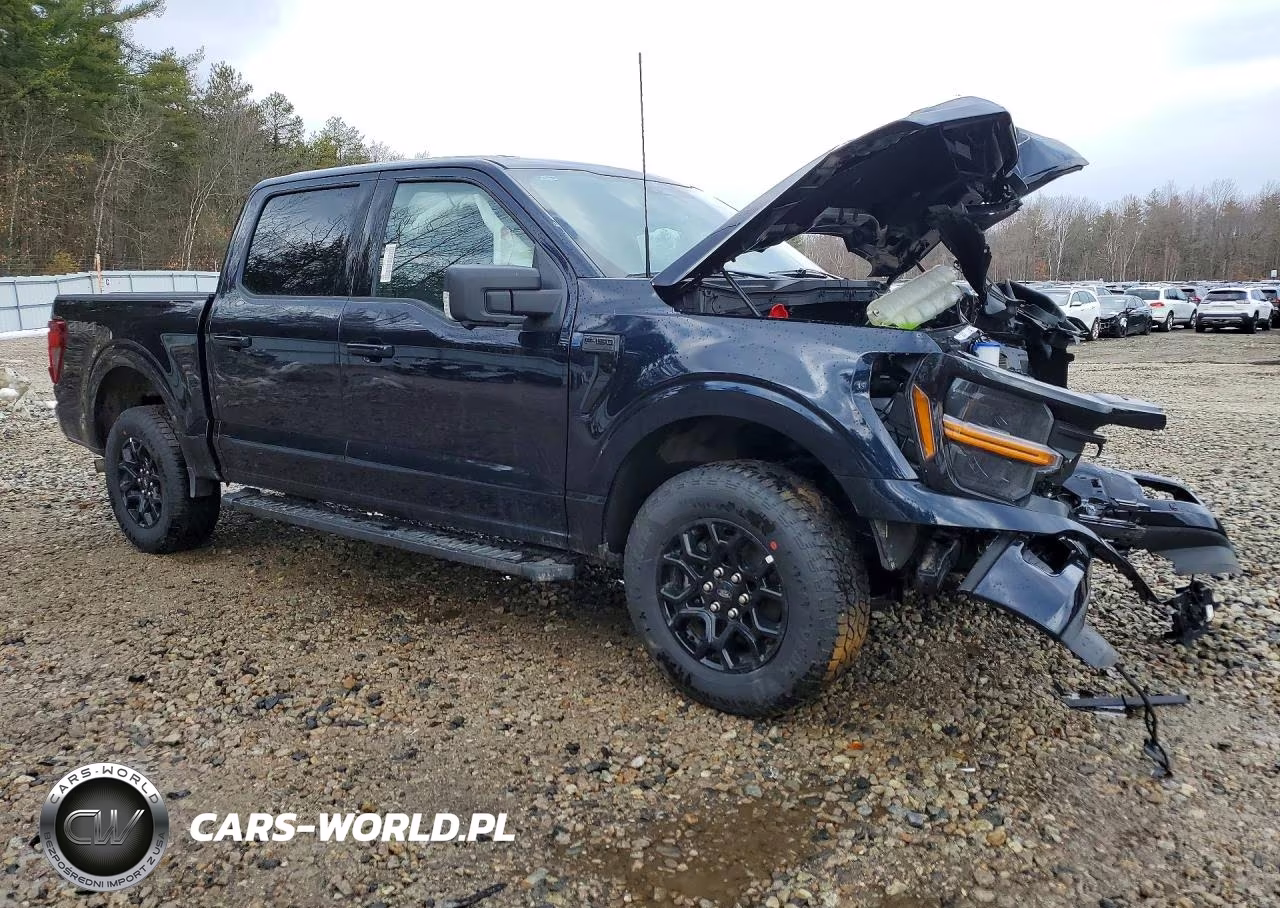 2025 Ford F150 Xlt VIN:1FTEW3LP8SKF42369 - 4