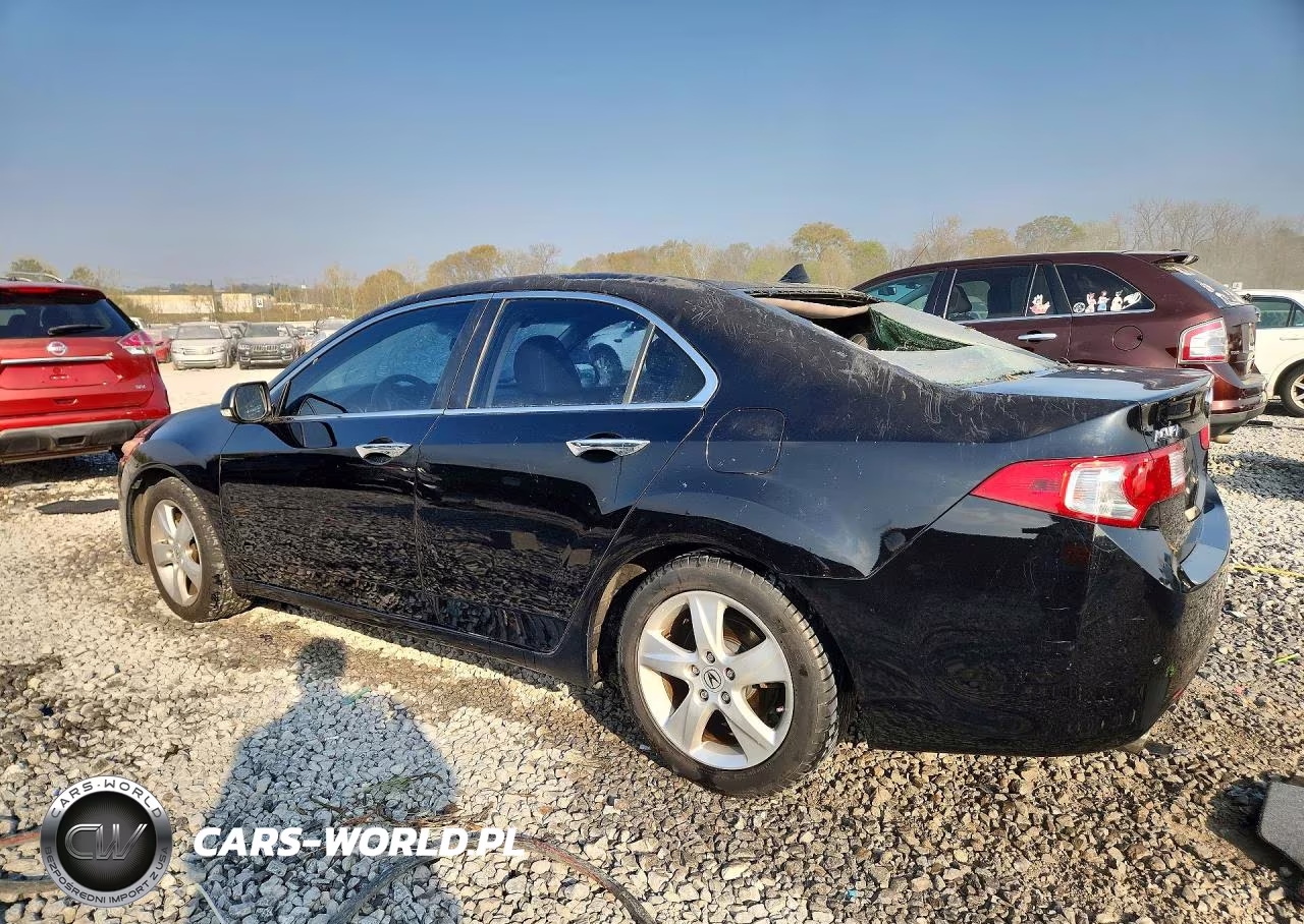 2010 Acura Tsx VIN:JH4CU2F62AC038711 - 2
