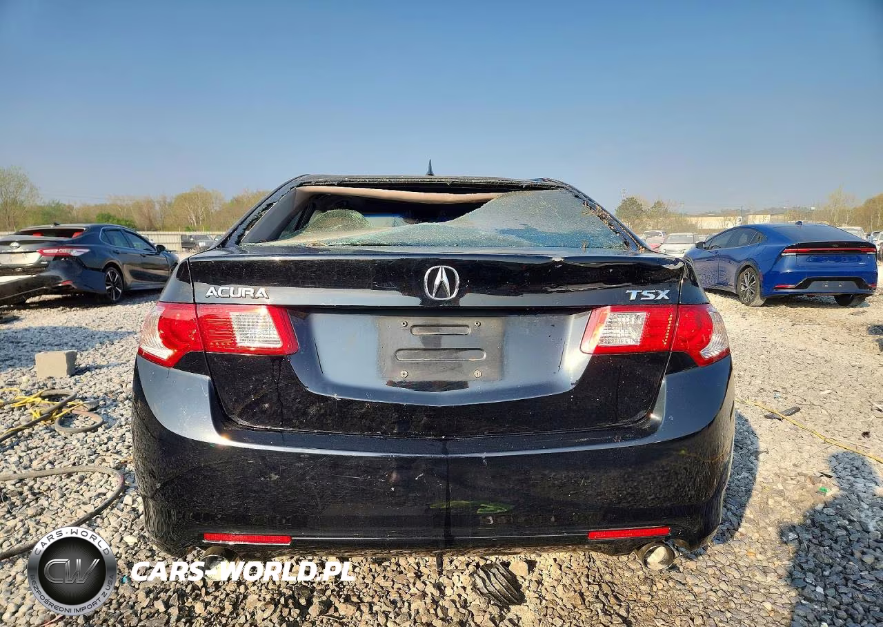 2010 Acura Tsx VIN:JH4CU2F62AC038711 - 6