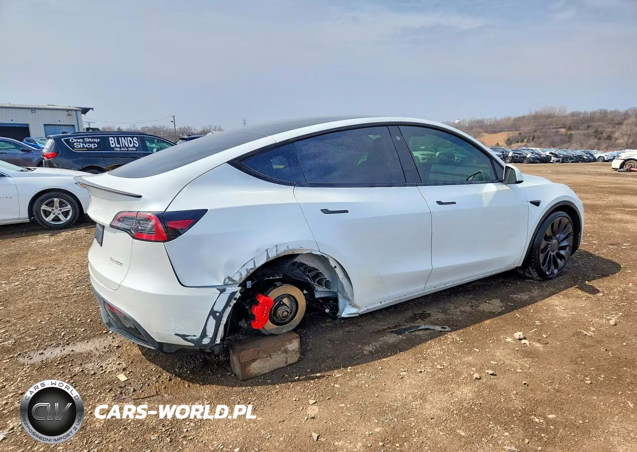 2022 Tesla Model Y VIN:7SAYGDEF5NF454114 - 3