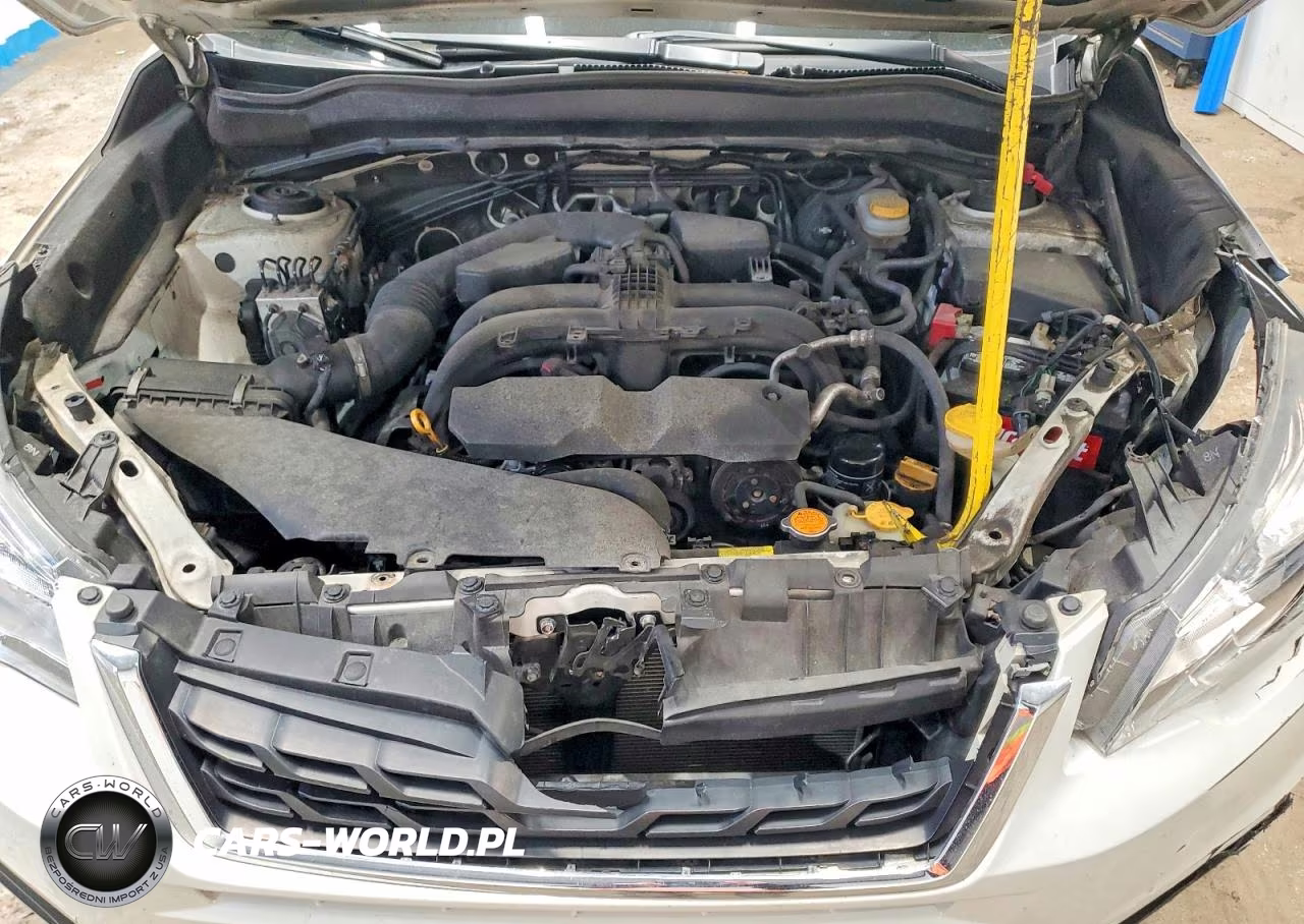 2017 Subaru Forester 2.5I VIN:JF2SJAAC3HH552031 - 12
