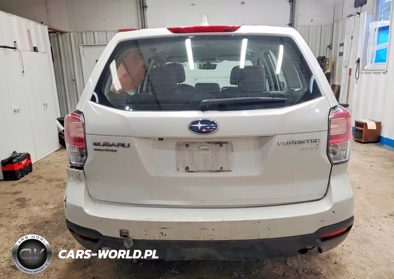 2017 Subaru Forester 2.5I VIN:JF2SJAAC3HH552031 - 6