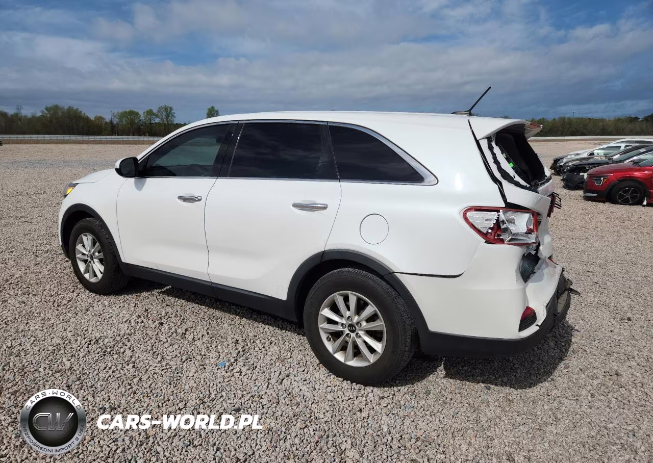 2020 Kia Sorento L VIN:5XYPG4A35LG664285 - 2