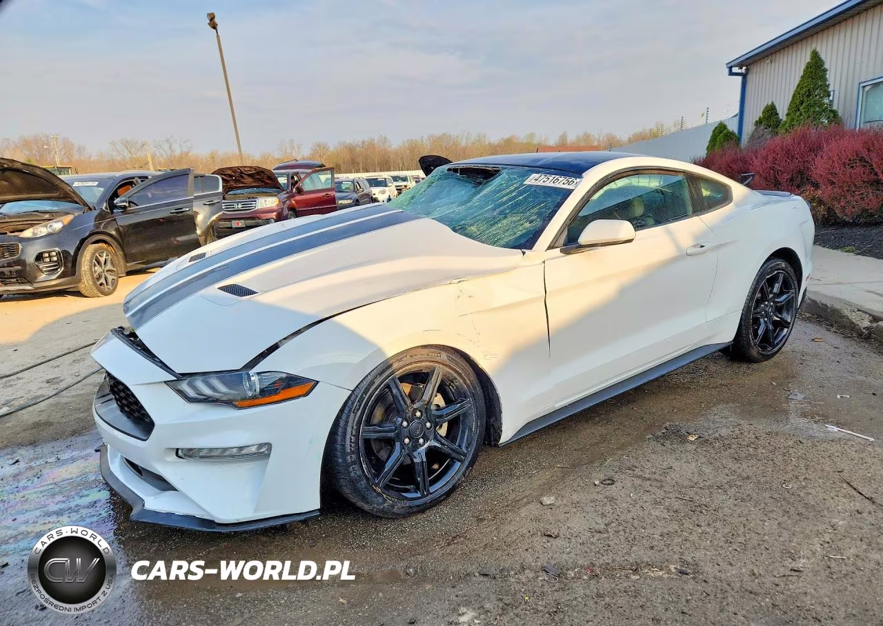 2019 Ford Mustang