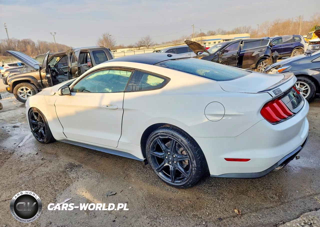 2019 Ford Mustang VIN:1FA6P8TH8K5194293 - 2