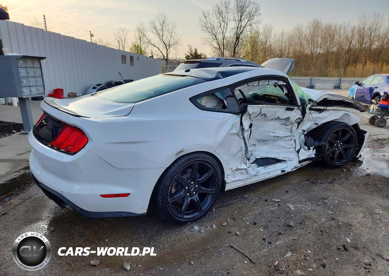 2019 Ford Mustang VIN:1FA6P8TH8K5194293 - 3