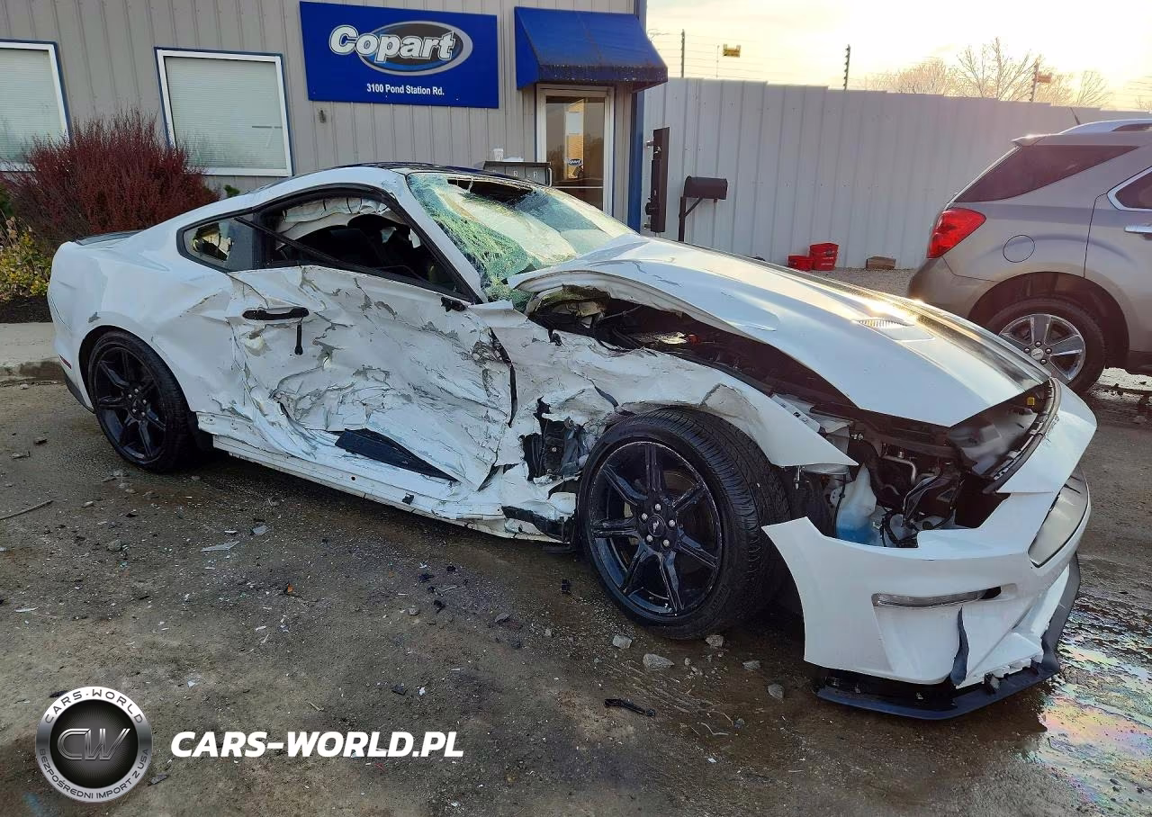 2019 Ford Mustang VIN:1FA6P8TH8K5194293 - 4