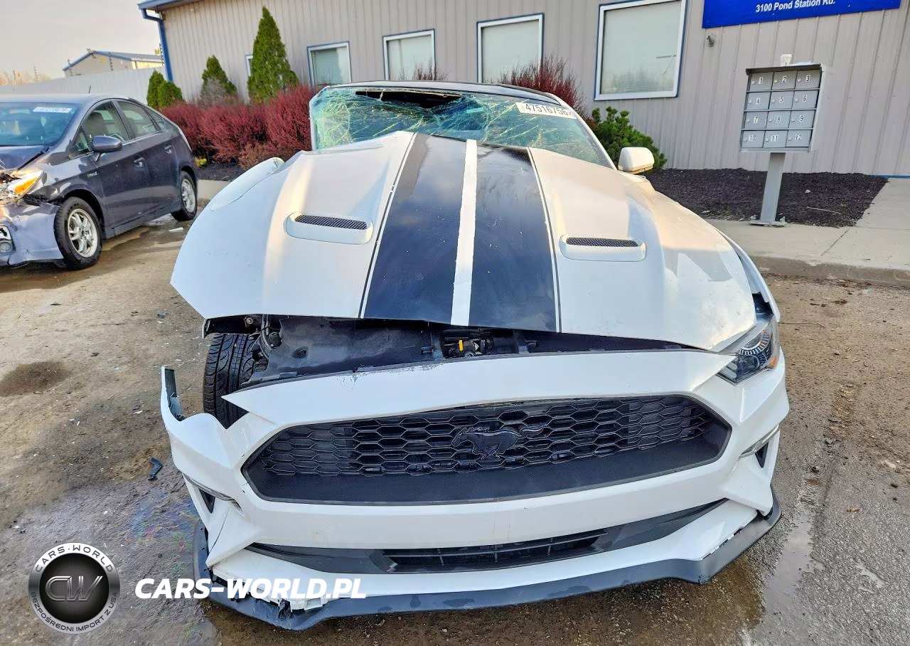 2019 Ford Mustang VIN:1FA6P8TH8K5194293 - 5