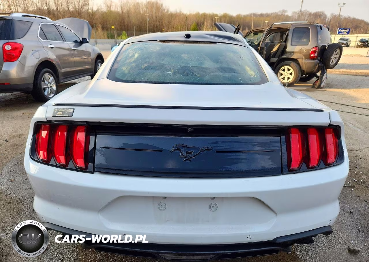 2019 Ford Mustang VIN:1FA6P8TH8K5194293 - 6