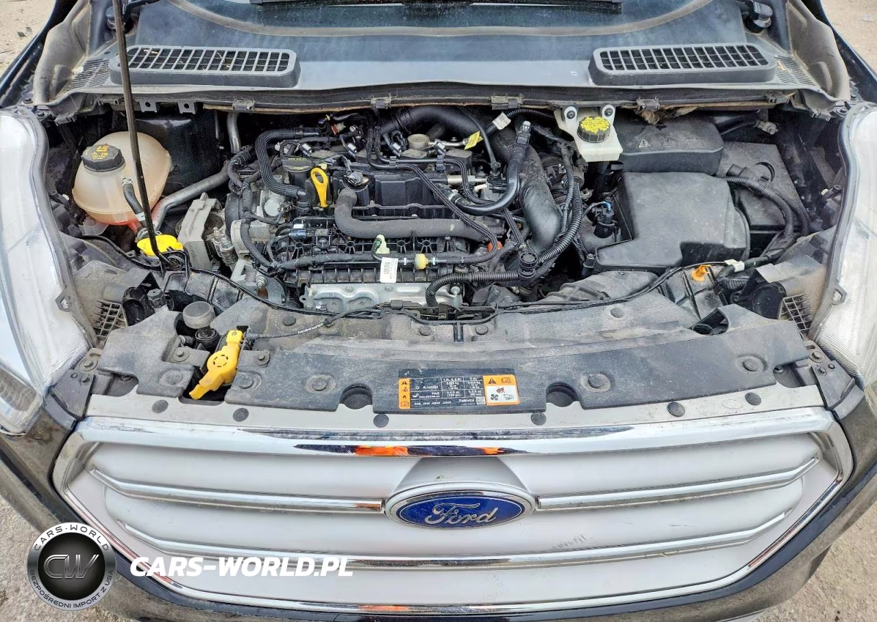 2019 Ford Escape Se VIN:1FMCU9GD1KUB69028 - 12