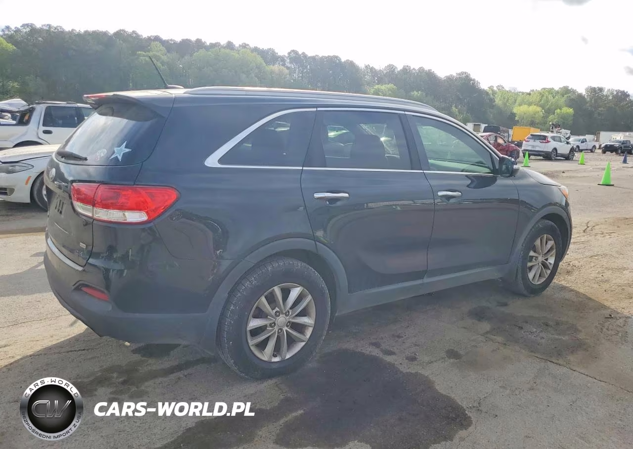 2016 Kia Sorento Lx VIN:5XYPG4A30GG149961 - 3
