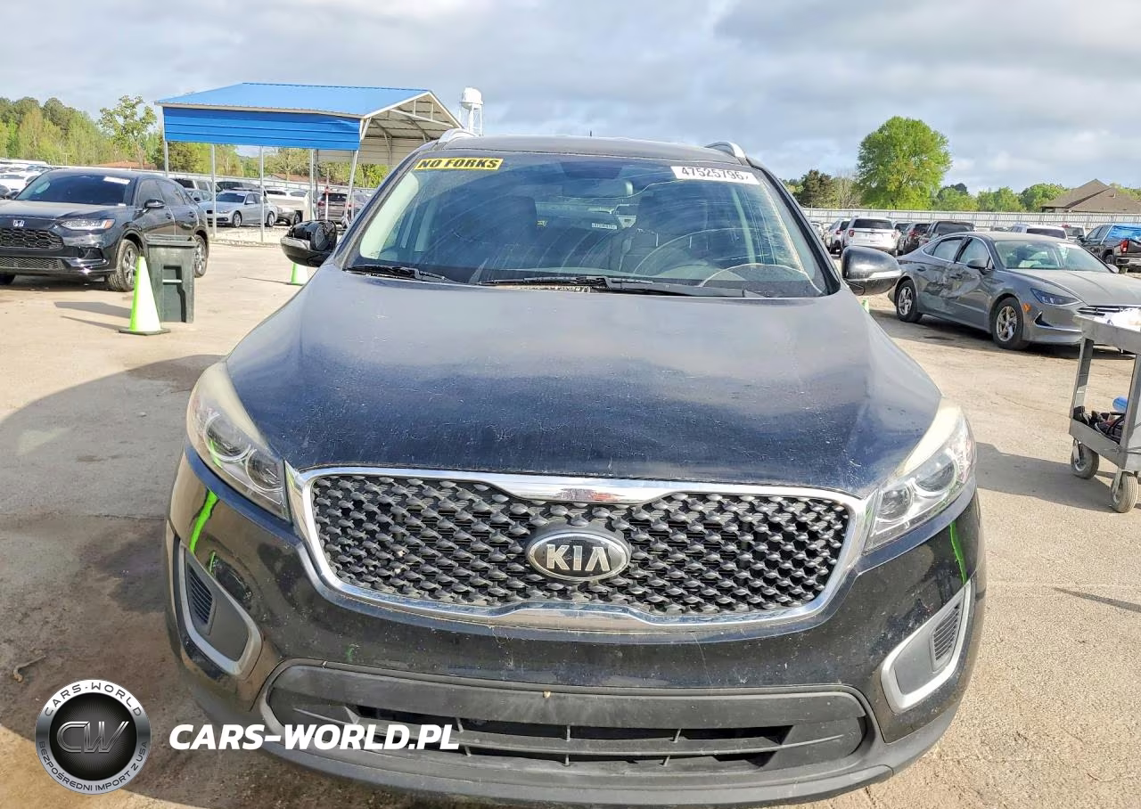 2016 Kia Sorento Lx VIN:5XYPG4A30GG149961 - 5