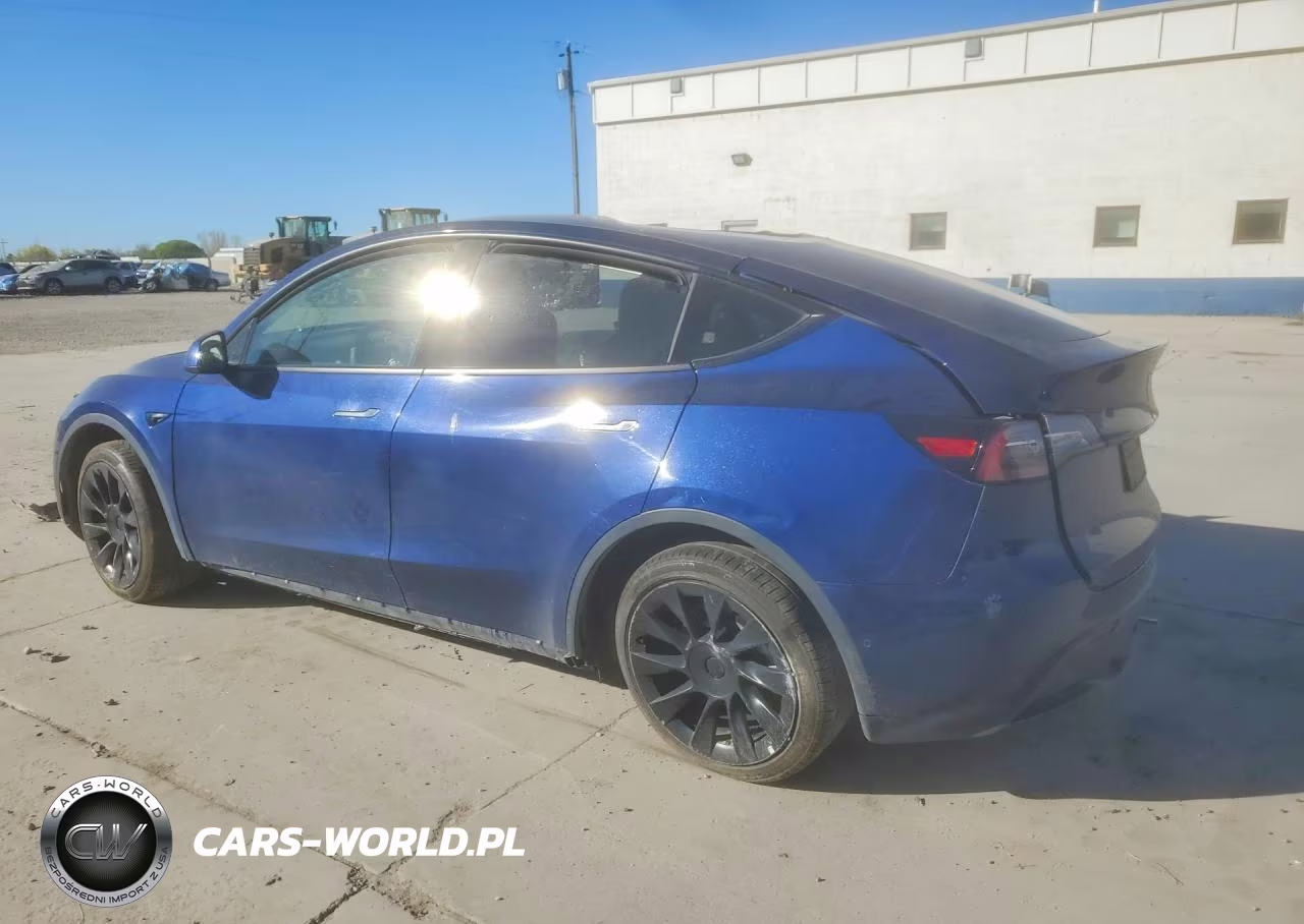2022 Tesla Model Y VIN:7SAYGDEE1NF387177 - 2