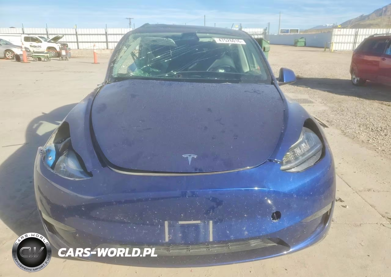 2022 Tesla Model Y VIN:7SAYGDEE1NF387177 - 5