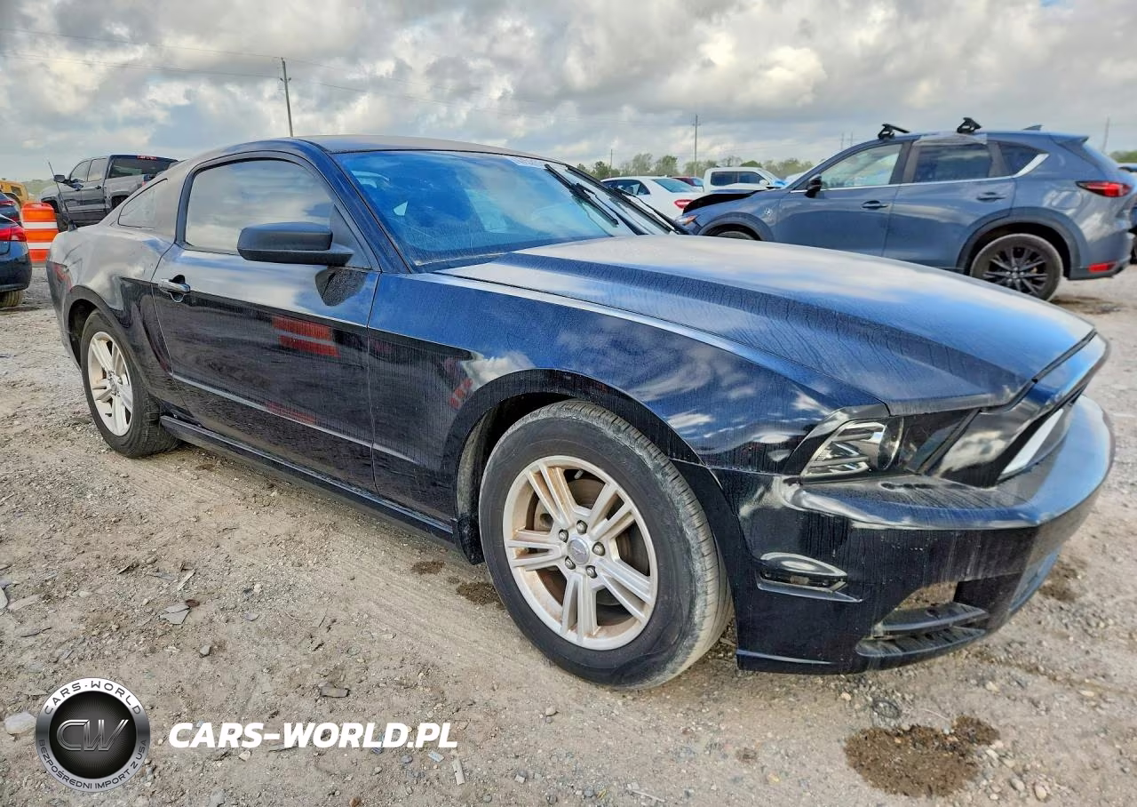 2013 Ford Mustang VIN:1ZVBP8AM4D5275963 - 4