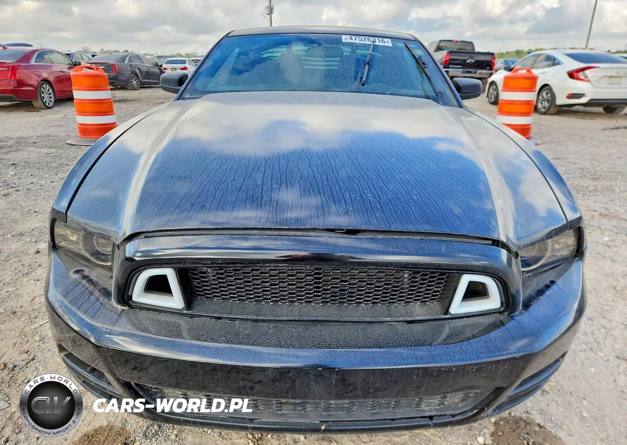 2013 Ford Mustang VIN:1ZVBP8AM4D5275963 - 5