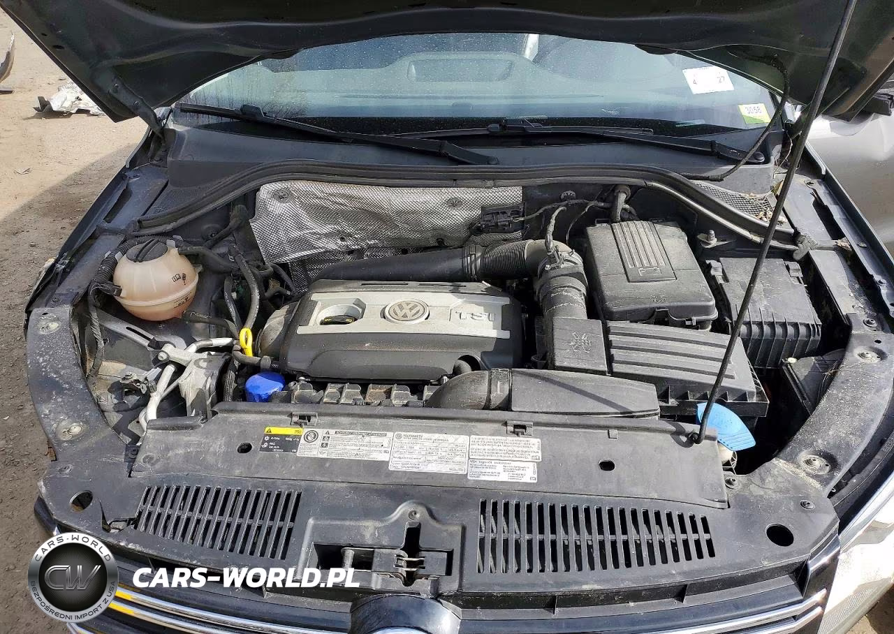 2016 Volkswagen Tiguan S VIN:WVGBV7AX6GW615380 - 12